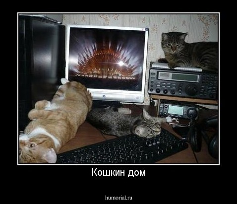 Кошкин дом