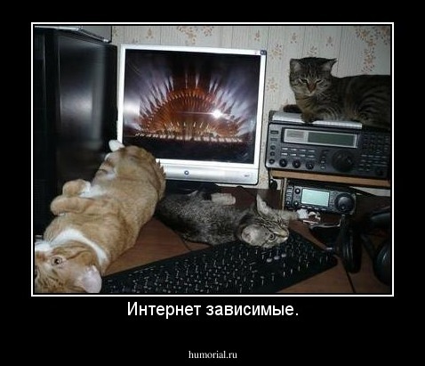 Интернет зависимые.