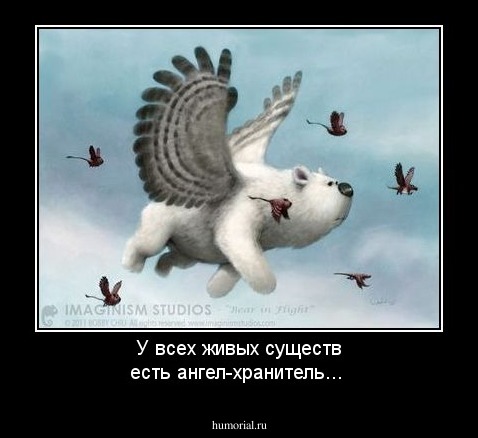 У всех живых существ есть ангел-хранитель...