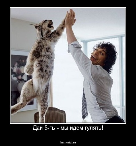 Дай 5-ть - мы идем гулять!