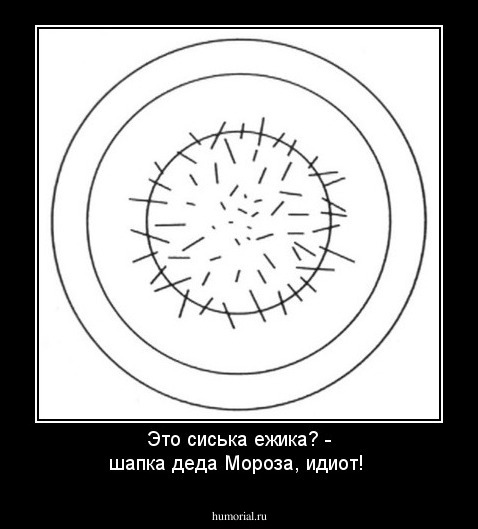 Это сиська ежика? - шапка деда Мороза, идиот!