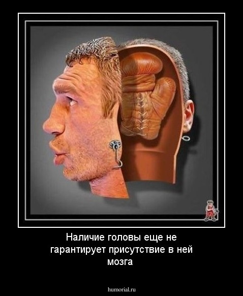 Наличие головы еще не гарантирует присутствие в ней мозга