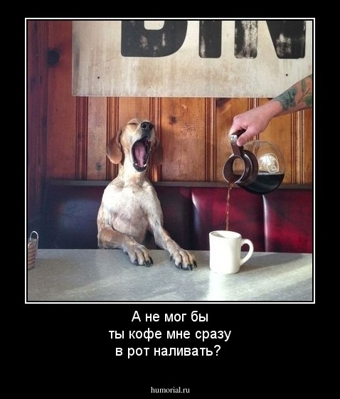 А не мог бы ты кофе мне сразу в рот наливать?