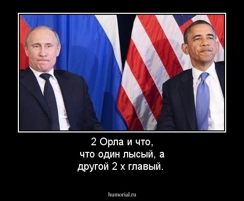 2 Орла и что, что один лысый, а другой 2 х главый.