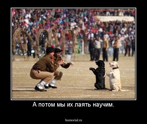 А потом мы их лаять научим.