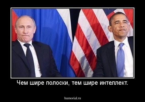 Чем шире полоски, тем шире интеллект.
