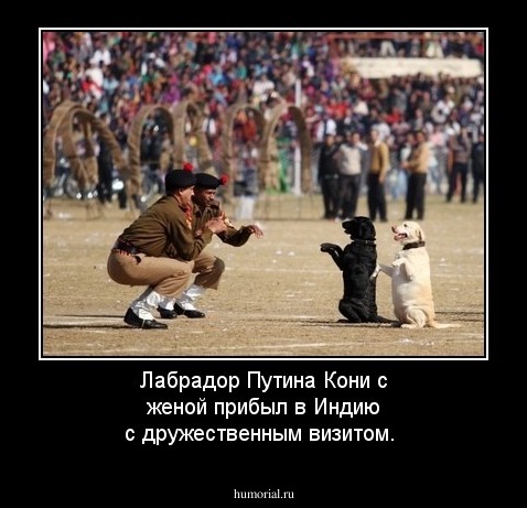Лабрадор Путина  Кони  с женой прибыл в Индию с дружественным визитом.