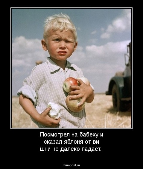 Посмотрел на бабеху и сказал яблоня от ви шни не далеко падает.