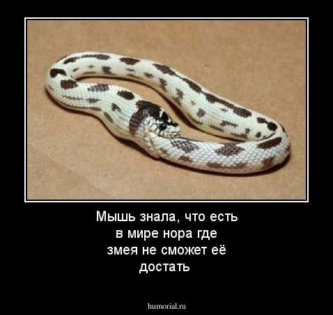 Мышь знала, что есть в мире  нора где змея не сможет её достать