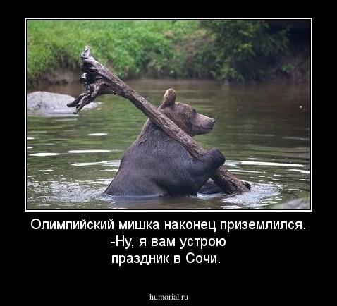 Олимпийский мишка наконец приземлился.                                                 -Ну, я вам устрою праздник в Сочи.