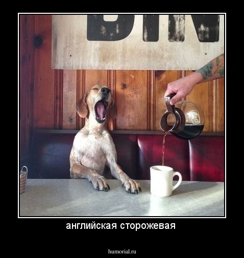 английская сторожевая 