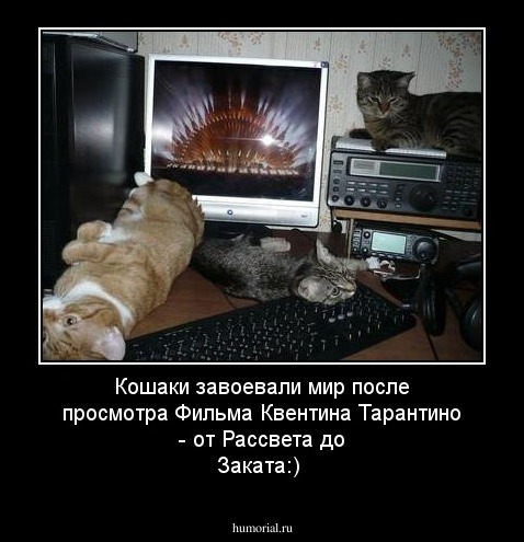 Кошаки завоевали мир после просмотра Фильма Квентина Тарантино - от Рассвета до Заката:)