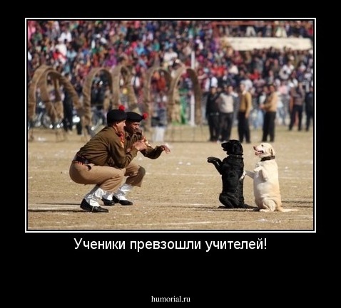 Ученики превзошли учителей!
