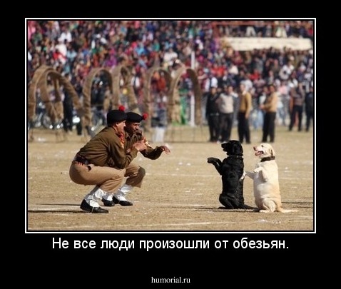 Не все люди произошли от обезьян.