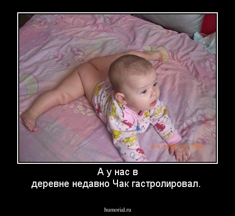 А у нас в деревне недавно Чак гастролировал.