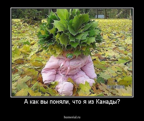 А как вы поняли, что я из Канады?