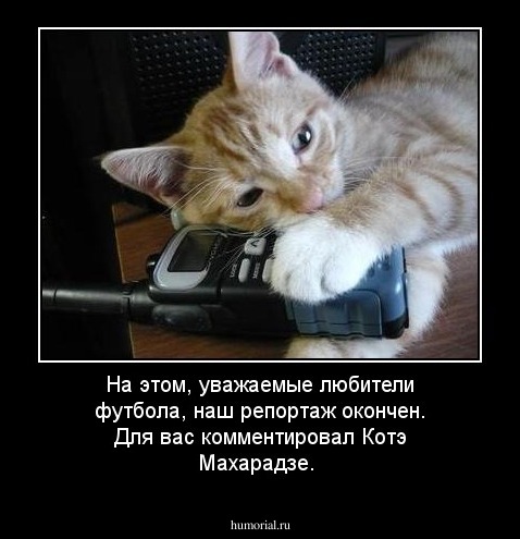 На этом, уважаемые любители футбола, наш репортаж окончен. Для вас комментировал Котэ Махарадзе.