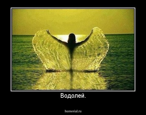 Водолей.