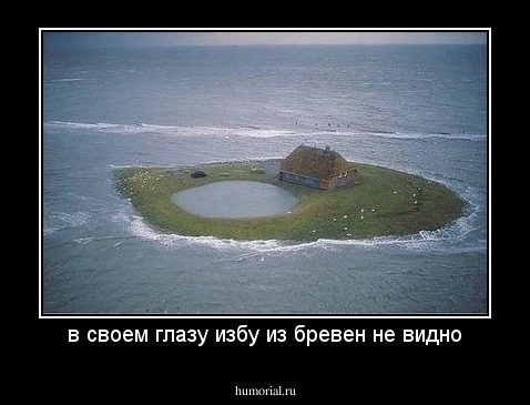 в своем глазу избу из бревен не видно