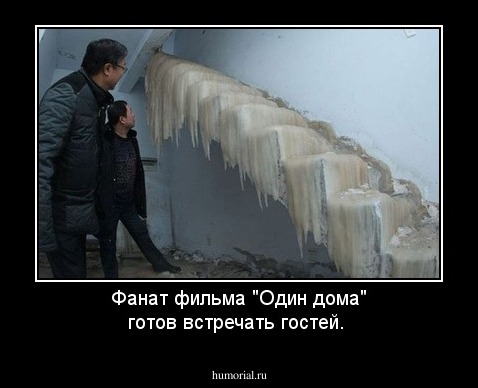Фанат фильма "Один дома" готов встречать гостей.