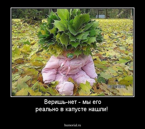 Веришь-нет - мы его реально в капусте нашли!