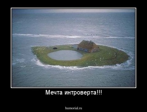 Мечта интроверта!!!