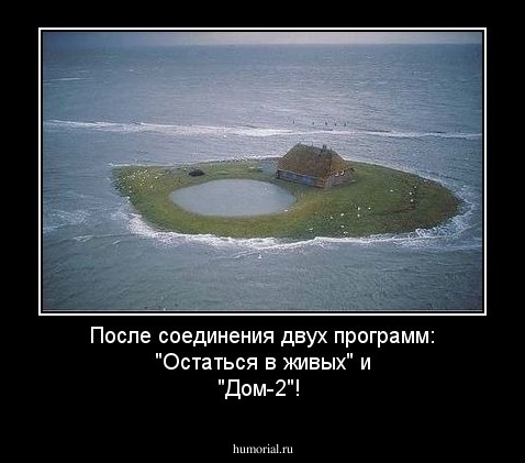 После соединения двух программ: "Остаться в живых" и "Дом-2"!