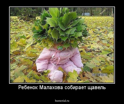 Ребенок Малахова собирает щавель