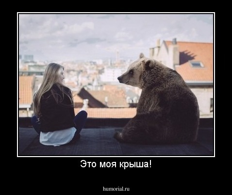 Это моя крыша!