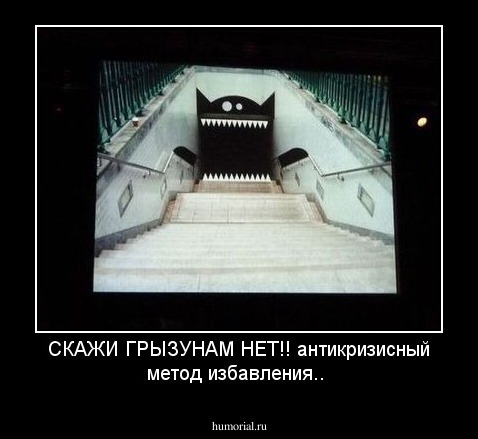 СКАЖИ ГРЫЗУНАМ НЕТ!!
антикризисный метод избавления..