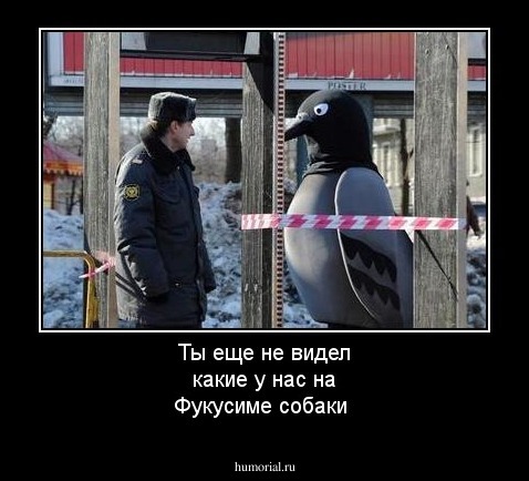 Ты еще не видел какие у нас на Фукусиме собаки 