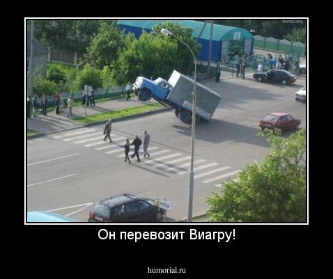 Он перевозит Виагру!