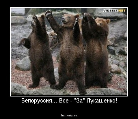 Белоруссия... Все - "За" Лукашенко!
