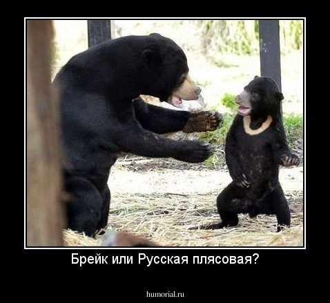 Брейк или Русская плясовая?