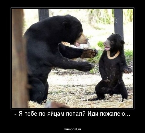 - Я тебе по яйцам попал? Иди пожалею...