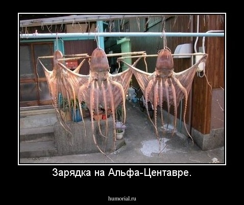 Зарядка на Альфа-Центавре.