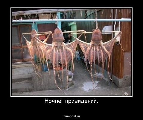 Ночлег привидений.