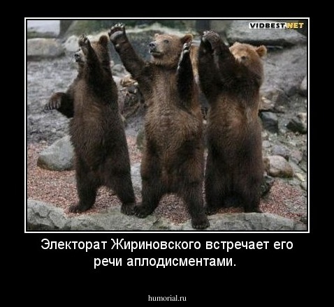 Электорат Жириновского встречает его речи аплодисментами.