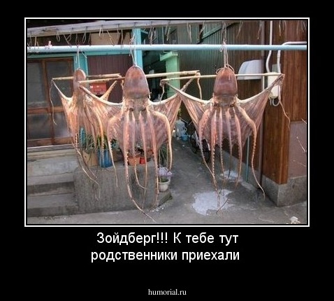 Зойдберг!!! К тебе тут родственники  приехали