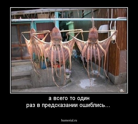 а всего то один раз в предсказании ошиблись...   