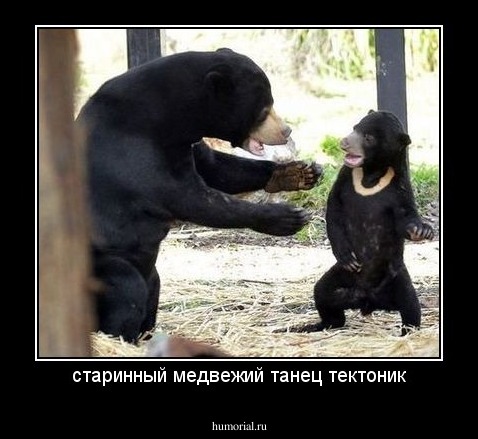 старинный медвежий танец тектоник