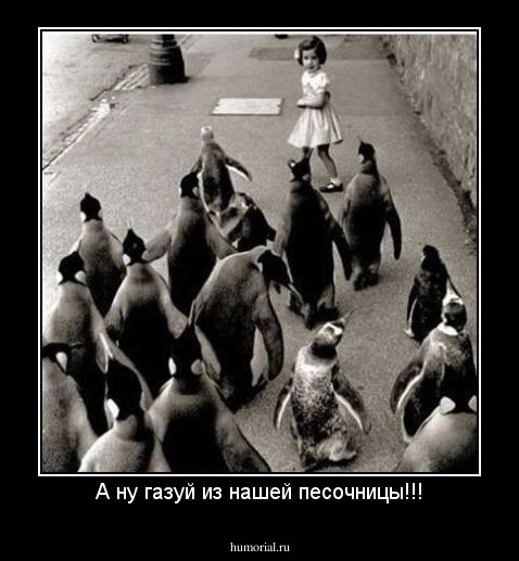 А ну газуй из нашей песочницы!!!