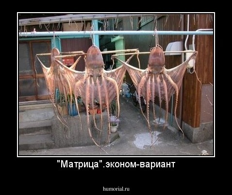 "Матрица".эконом-вариант