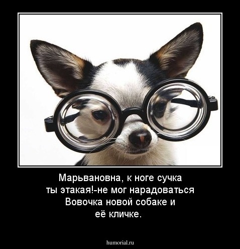 Марьвановна, к ноге сучка ты этакая!-не мог нарадоваться Вовочка новой собаке и её кличке.