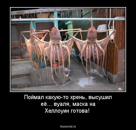 Поймал какую-то хрень, высушил её... вуаля, маска на Хеллоуин готова!