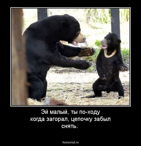 Эй малый, ты по-ходу когда загорал, цепочку забыл снять.