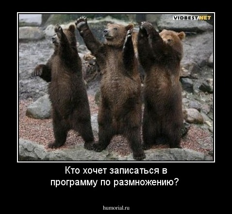 Кто хочет записаться в программу по размножению?
