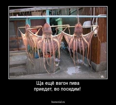 Ща ещё вагон пива приедет, во посидим!