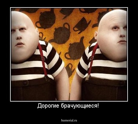 Дорогие брачующиеся! 