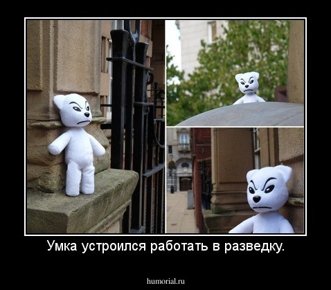 Умка устроился работать в разведку.